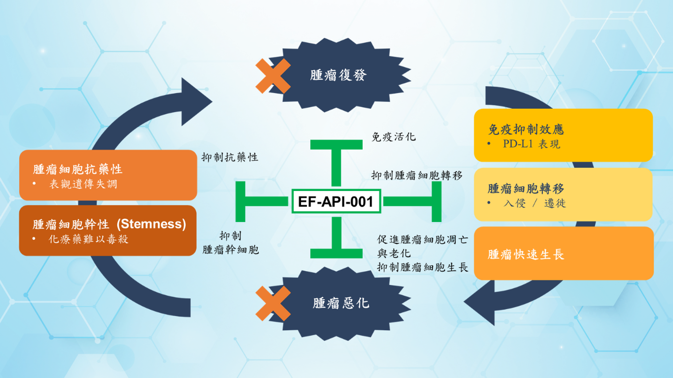 我們的關鍵有效成分：EF-API-001 - Everfront Biotech