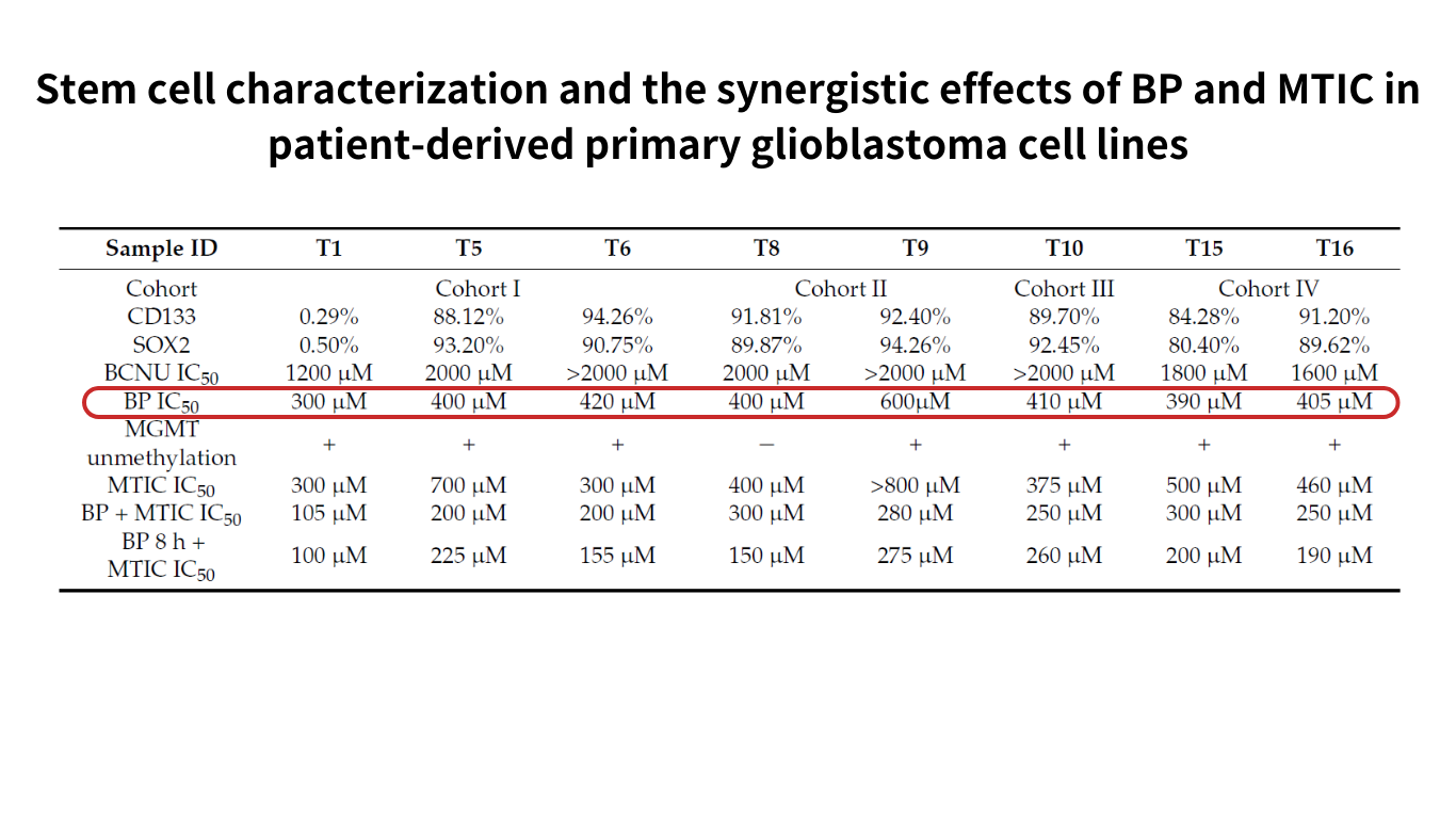 Synergistic effect of BP in patient-derived primary glioblastoma cell lines