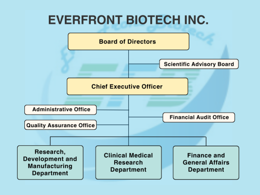 Organization Chart of Everfront Biotecch Inc.